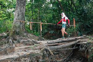 BIB: 
                            <button type="button" onclick="openModal(27803161)" class="btn btn-primary btn-sm float-right btn-popup" data-toggle="modal" data-target=".modal-high-quality">
                        <i class="fas fa-shopping-cart"></i> Add to Cart
                    </button>
                                            <button type="button" onclick="isThisMe(27803161, true)" class="btn btn-success btn-sm float-right btn-popup btn-isme hidden" data-toggle="tooltip" data-placement="bottom" title="นี่คือรูปของคุณใช่ไหม คลิกที่นี่เพื่อเอาเข้าอัลบั้ม">
                        <i class="fas fa-plus"></i> Add to album
                    </button>
                    <button type="button" onclick="isThisMe(27803161, false)" class="btn btn-warning btn-sm float-right btn-popup btn-isnotme hidden">
                        <i class="fas fa-ban"></i> Remove from album
                    </button>